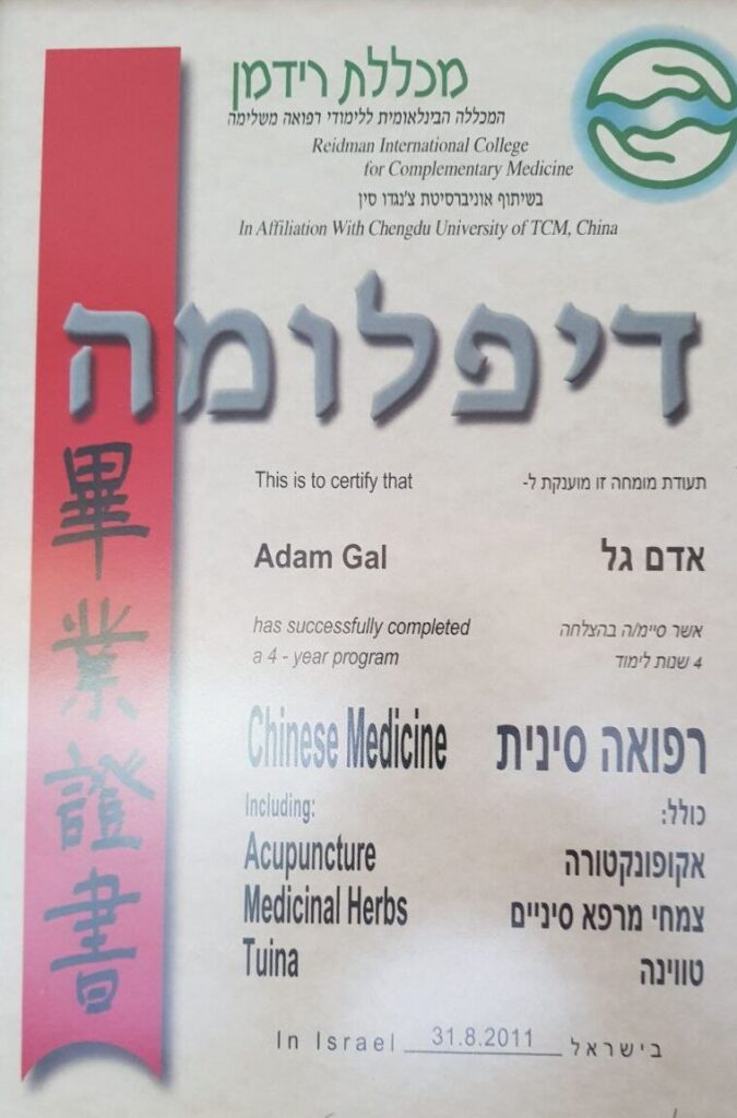 chinese medicine diploma